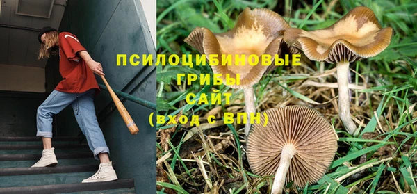 не бодяженный Богородицк