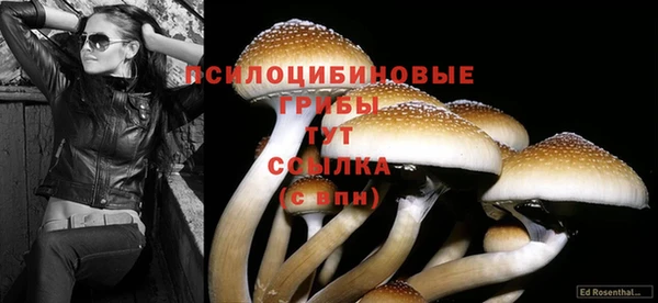 apvp Белоозёрский